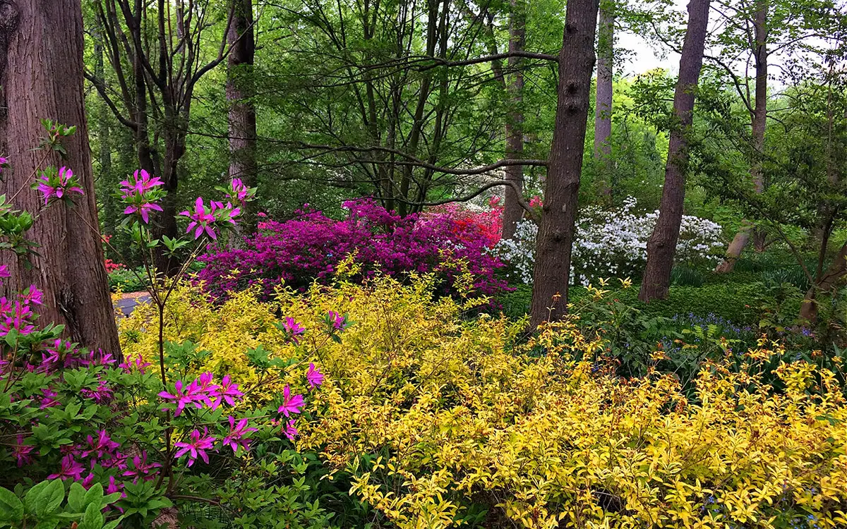 Brookside Gardens