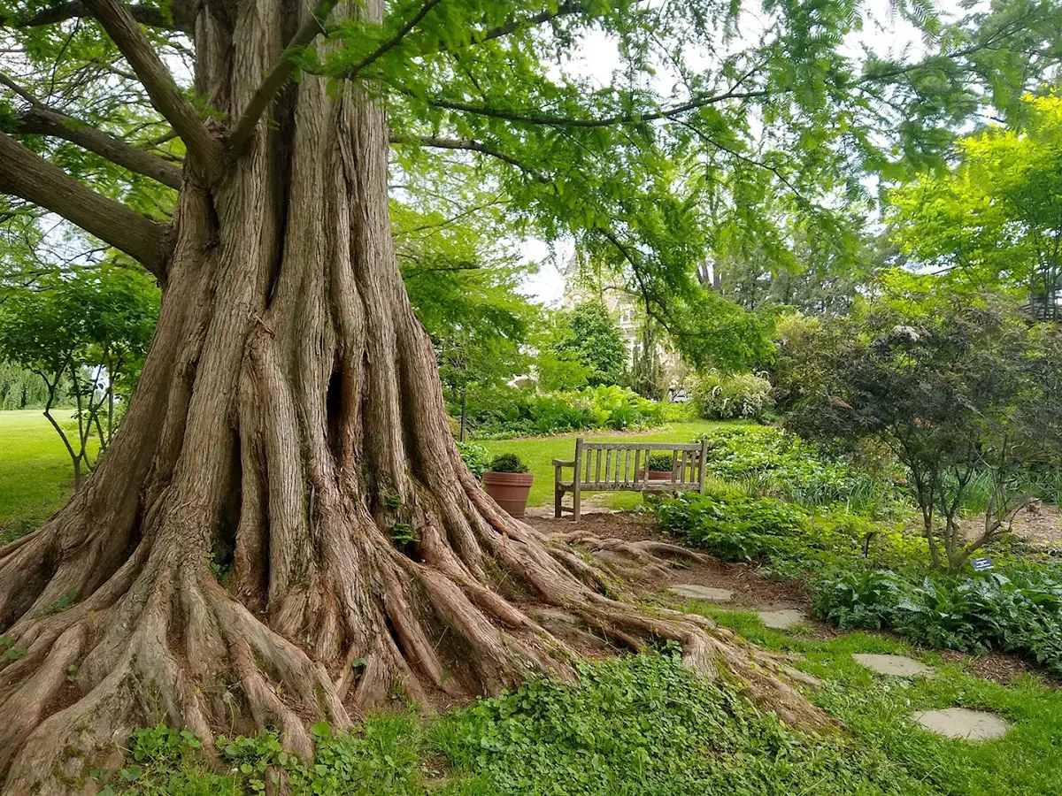 Cylburn Arboretum