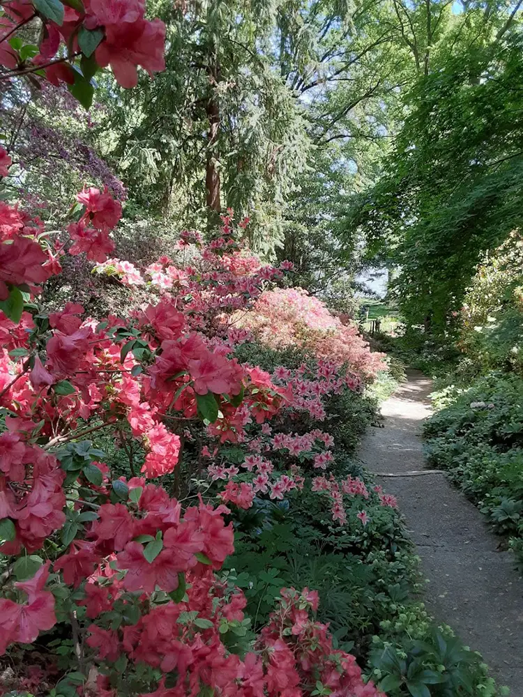 Historic London Town & Gardens