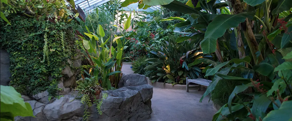 Rawlings Conservatory