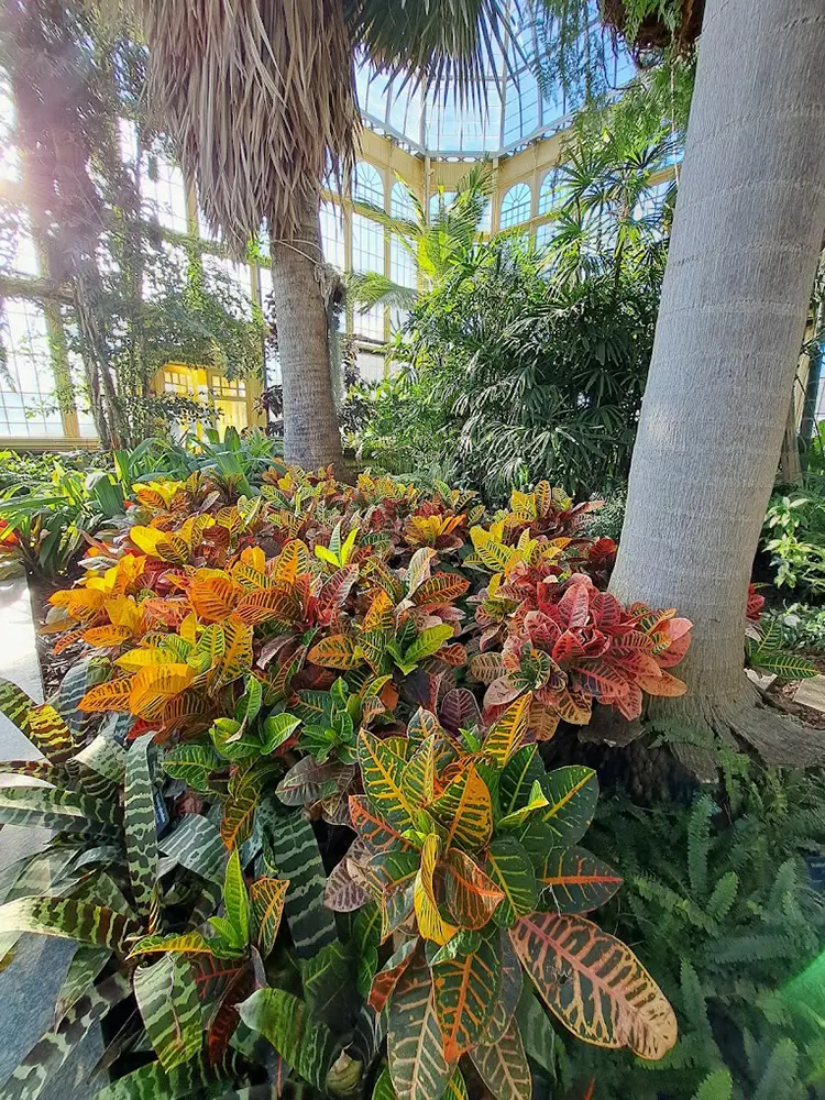 Rawlings Conservatory