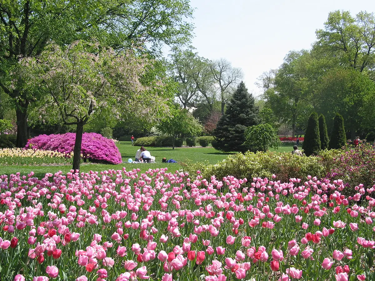 Sherwood Gardens