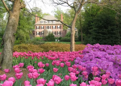 Public Gardens You’ll Want to Visit in Maryland