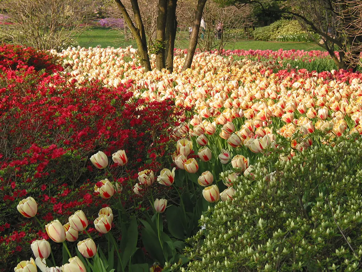 Sherwood Gardens