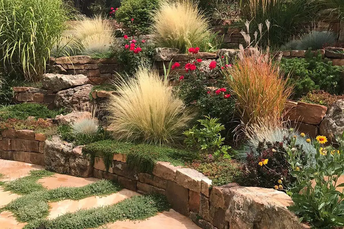 Example of Xeriscape, Drought-tolerant Garden