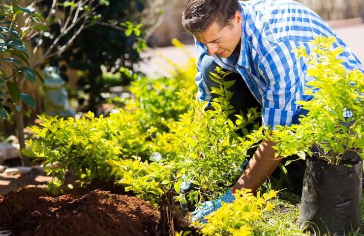 Fall is the best time to plant perennials!