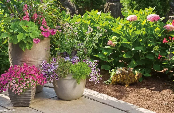 Container Scaping Ideas