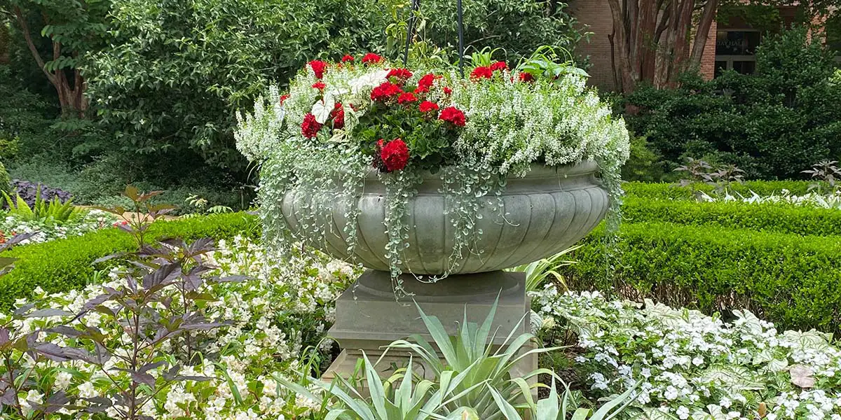 Container Scaping as Focal Point