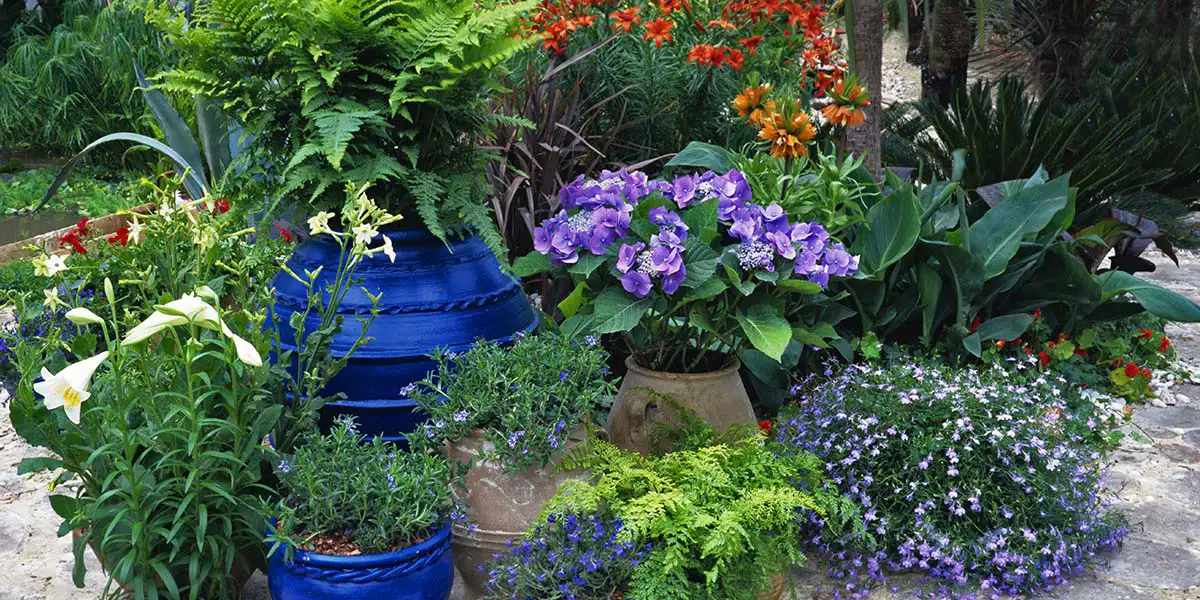 Container Scaping varying size and heights