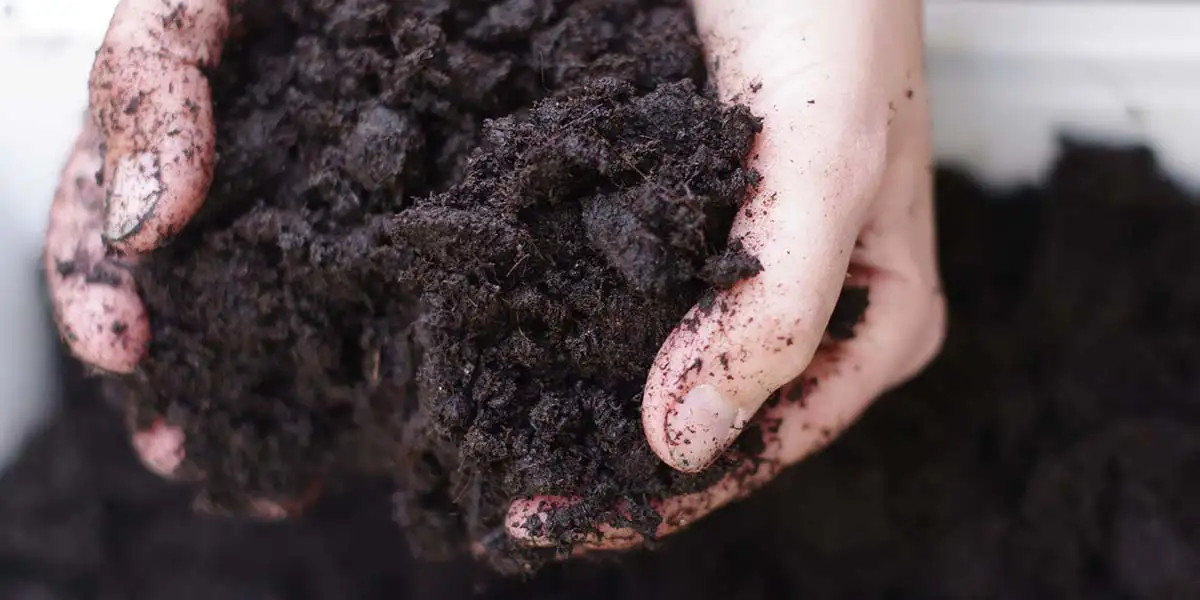 Healthy soil is filled with living microbes and organic material. 