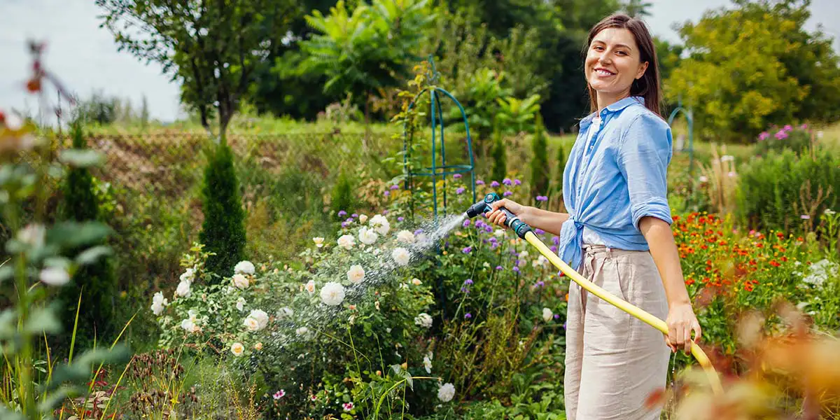 Gardening Basics: Watering