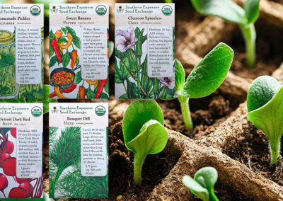 Grow Your Own Veggies From Seed: Planting Guide for Zones 7a & 7b