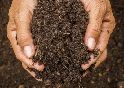 Compost and Soil Health: A Beginner’s Guide to Richer Gardens