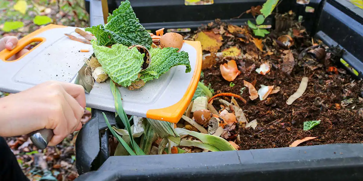 Get started composting with acceptable kitchen scraps.