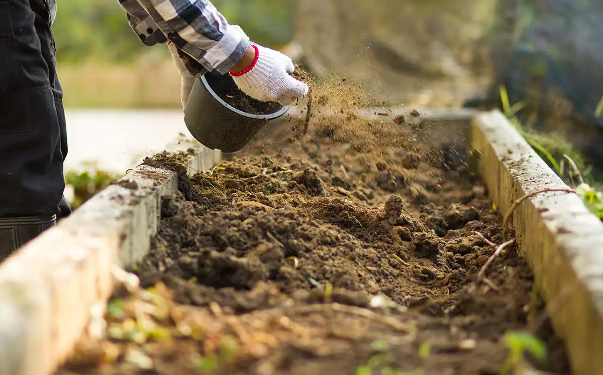 Add compost to enhance the health of your garden soil.