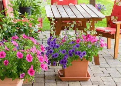 Container Gardening for Patios: Elevate Your Outdoor Space with Stylish Planters