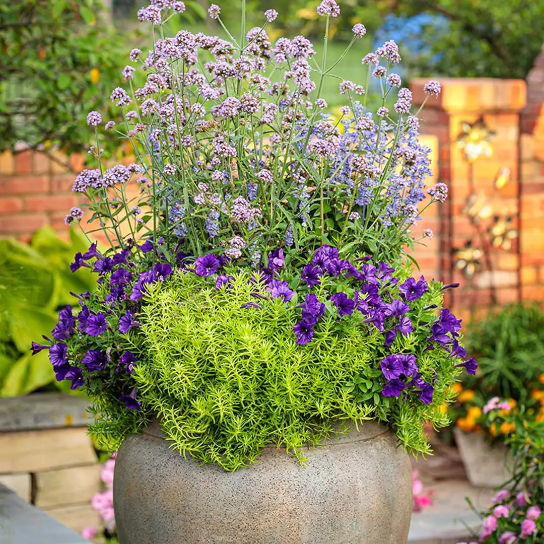 Join us for a make-and-take container design workshop at Reston Farm Garden Market