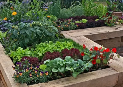 Building and Managing Raised Beds for Better Soil, Healthier Plants, and Happier Gardeners
