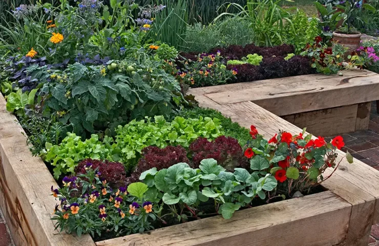 Herbs, veggies and flowers in a raised bed