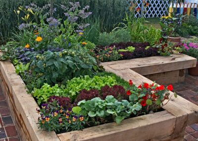 Building and Managing Raised Beds for Better Soil, Healthier Plants, and Happier Gardeners