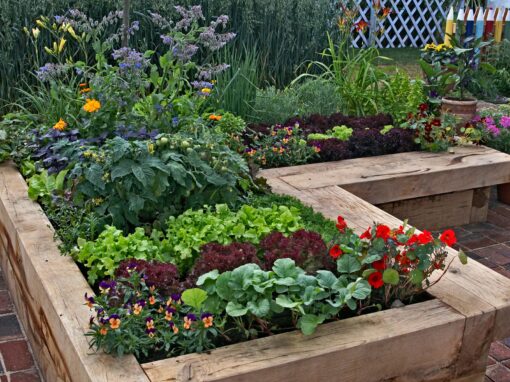 Building and Managing Raised Beds for Better Soil, Healthier Plants, and Happier Gardeners