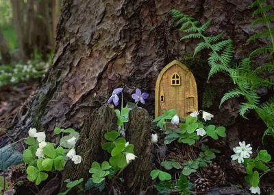 Add Some Magic With a Fairy Garden