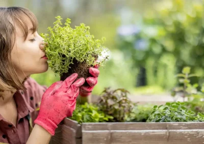 Growing Culinary and Medicinal Herbs for Your Kitchen and Your Well-Being