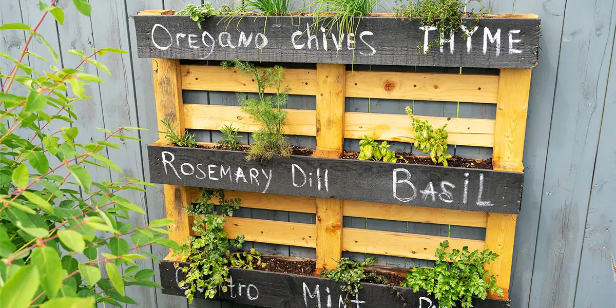 Herb Gardening-Pallet Wall