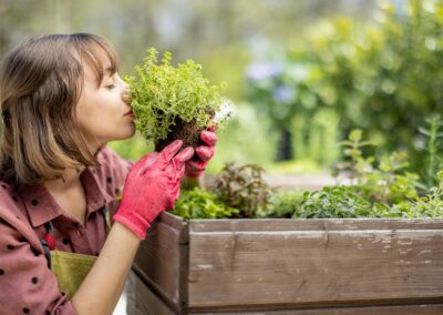 Growing Culinary and Medicinal Herbs for Your Kitchen and Your Well-Being