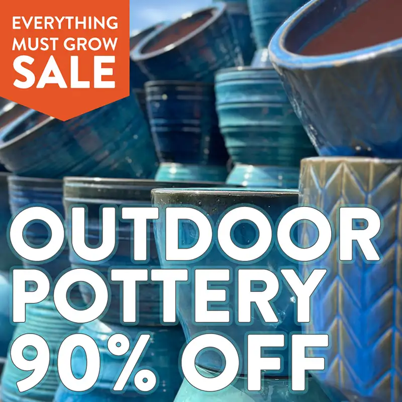 90% Off Outdoor Pottery 90% Off Outdoor Pottery